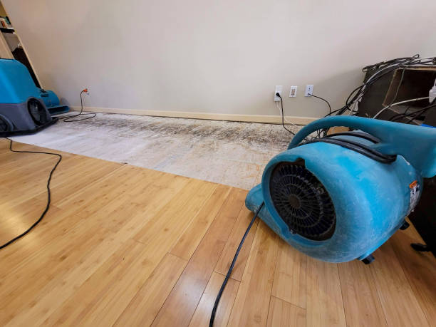 Professional Basement Flood Cleanup technician working in Kenton, OH